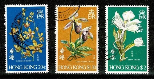 Fiori hong kong 1977 - kong,